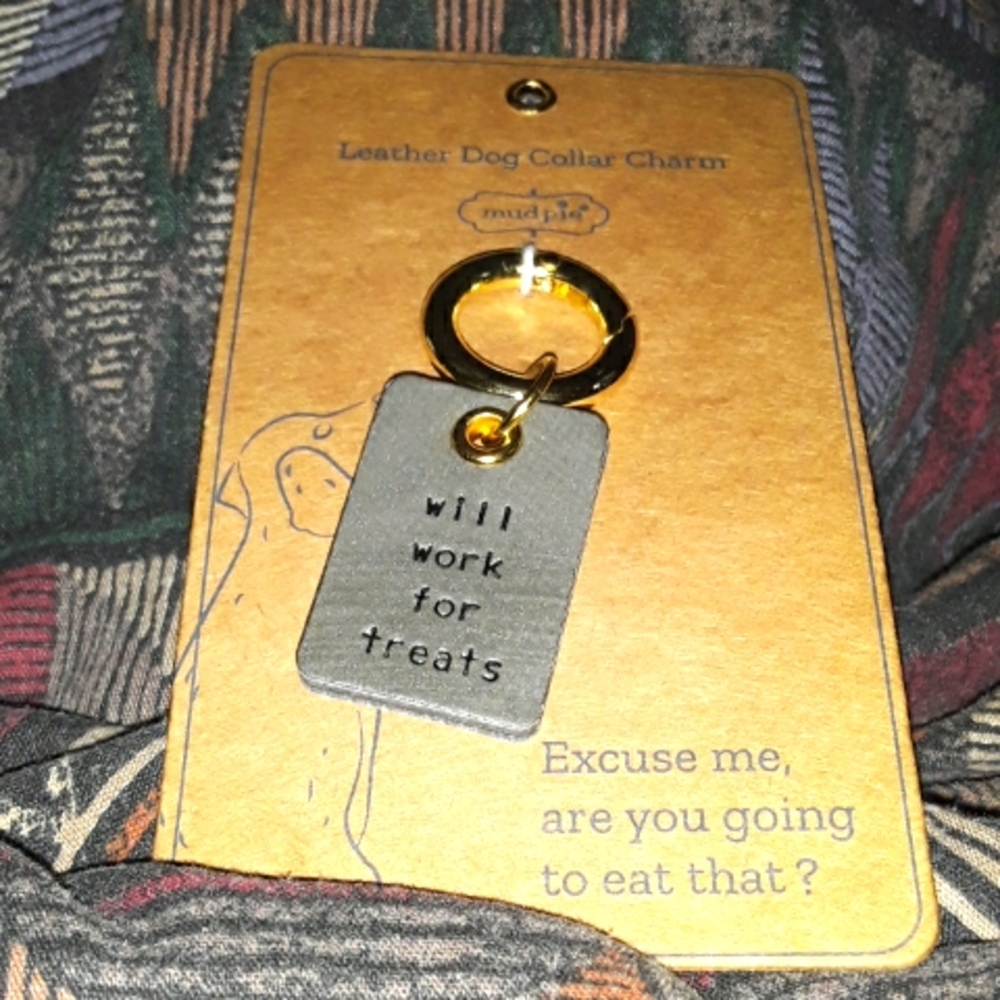 Pet collar charm